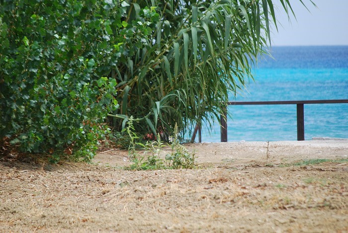 Beate Apartments & Houses - Tsilivi Zakynthos Greece