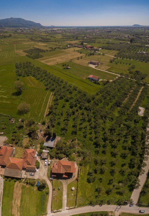 Maya Holiday Home - Tsilivi Zakynthos Greece