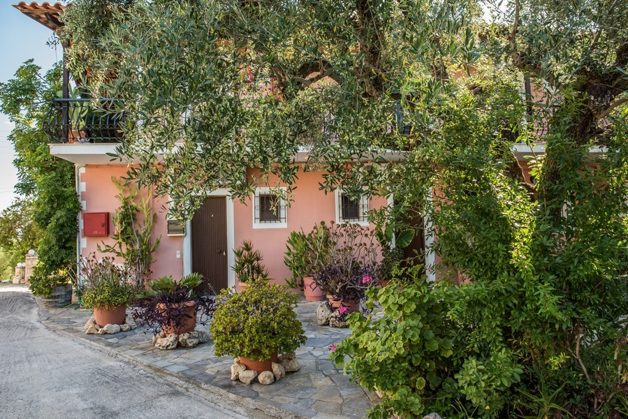 Notos Studios - Tsilivi Zakynthos Greece