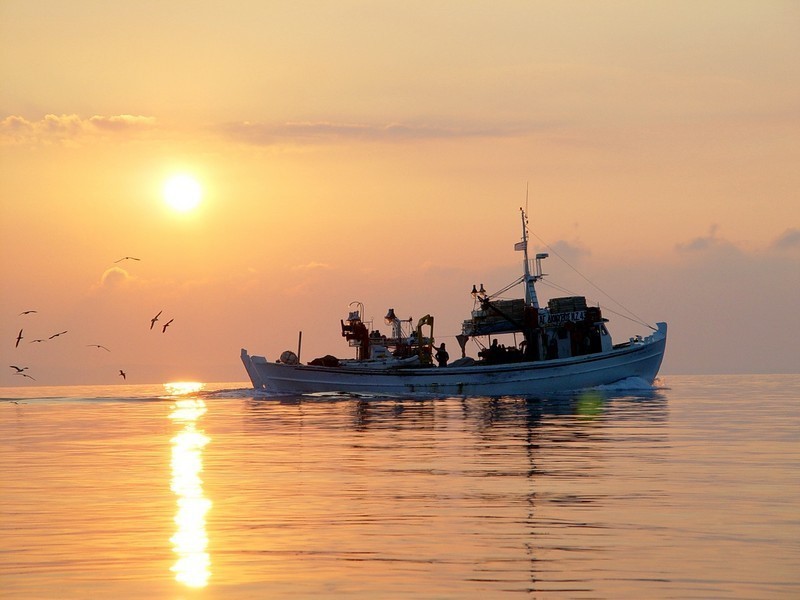 Notos Studios - Tsilivi Zakynthos Greece