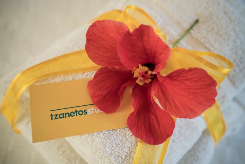 Tzanetos studios - Tsilivi Zakynthos Greece